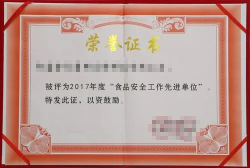 PG模拟器电子股份有限公司荣誉资质证书